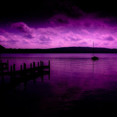 purple rain ☂️