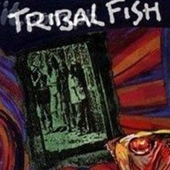 Tribal Fish - Istap The Lala