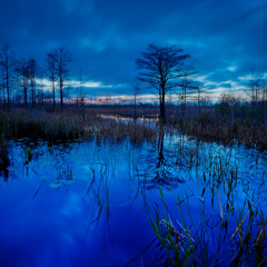 Fresh wes,  ft Yogi  &  john jigga, ft Rachel remix