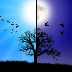 FRESH WES -   .Ridin all night riden all day.