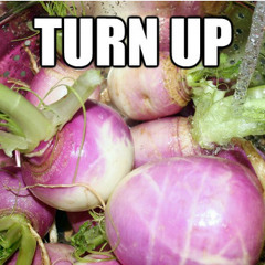 turnupp