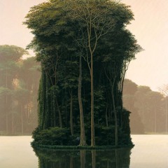 Comulus - Imogen Heap (Brudaja Remix)