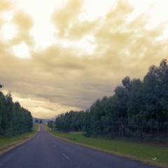 "You Move Me (Sarah's Song) by The Forester (2014)