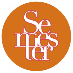 Semester007 - Dayne S - Disco Blues EP