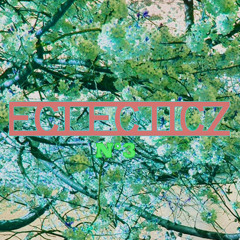 ECLECTICZ -- N°3