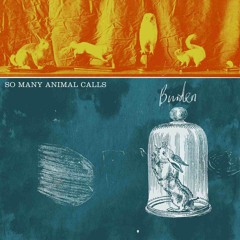 So Many Animal Calls - My Blood's Not Mine