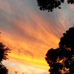 Dissolve Me (Alt-j ∆)