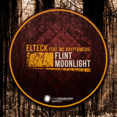Elteck feat. MC Kryptomedic - Flint