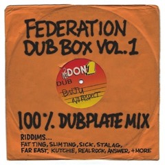 Dub Box Volume 1 - 100% Dubplate Mix