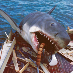 Music For Sharks