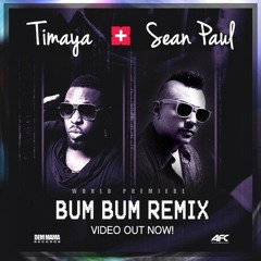 Timaya ft Sean Paul - Bum Bum Remix