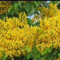 နာ့မွာခ်စ္သူမရွိလို႔အခါမွာလႊမ္းပိုင္song နားေထာင္ျပီးပဲ ေလလိုက္ေတာ့မယ္