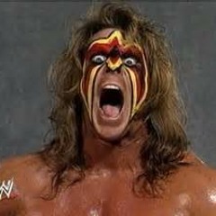 ULTIMATE WARRIOR