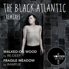 The Black Atlantic - Walked-on Wood (re:deep Clubmix)[Full Track, 128k]