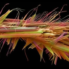 Cronicool-Forklift (ErnestoTenso Redit Mix)