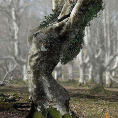 KARMARYDA - AUDASITY SOUNDSISDEM - NEURO 001