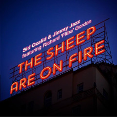 Sid Ozalid - The Sheep Are On Fire