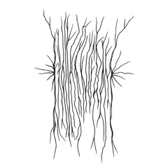 the last hours of a forgotten bard