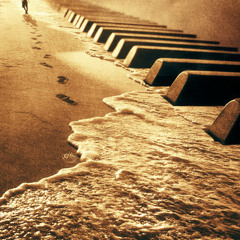 Fall In Line