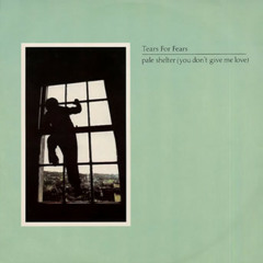 Pale Shelter - Tears For Fears (Stunts For Lovers Mix)