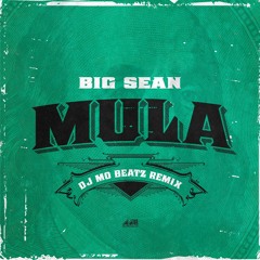 Big Sean - Mula (Dj Mo Beatz Remix)