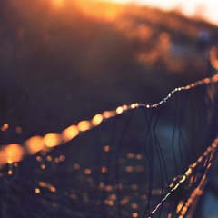 Sunrays (prod. Brian Cameriino)