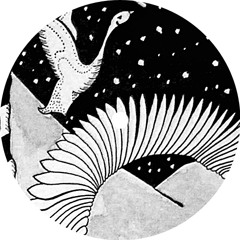 VIBE008 Nikola Gala - CADENCE (ATTEMPORAL remix)