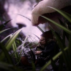 Na Cabeca Tem Cabelo