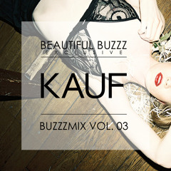 BUZZZMIX VOL. 3 - KAUF