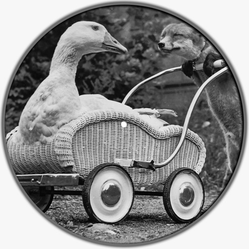 LUCAS TÜRSCHMANN - ROCK