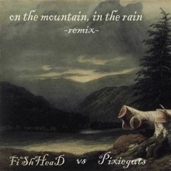 FiShHead vs Pixieguts - On the mountain, in the rain (remix)