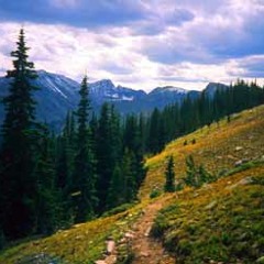 Wilderness - Adam Hurst
