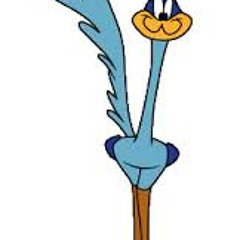 M. Piccirillo 4et - Road Runner ( bee beep )