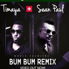 Bum - Bum - Remix - Ft. - Sean - Paul.mp3 (www.nigeriamusicplanet.com)