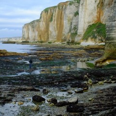 Flux Reflux Etretat