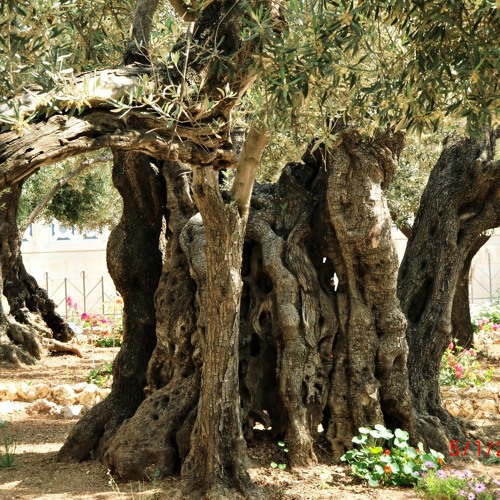 Psalm 22 (in Hebrew)