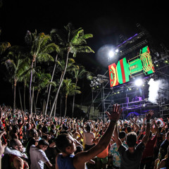 Ummet Ozcan Live at Ultra Music Festival Miami (03-29-2014)