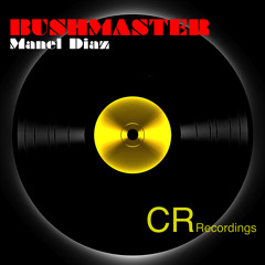 Manel Diaz - Bushmaster (original mix)