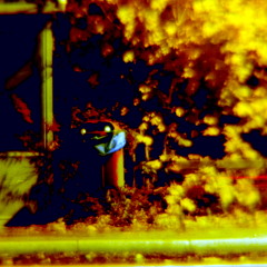 Det Var Så Längesen Jag Såg Dig Sist Johan