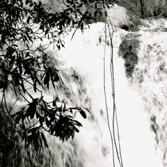 SpottieOttieDopaliscious by Outkast ( presidential slowdown )