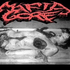 MÁFIA GORE - DR PSIGORE (Proliferador Do Caos)