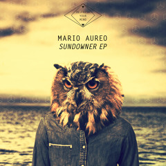 Mario Aureo - Raindrops (Markus Homm Remix) Snippet