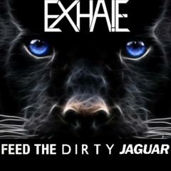 Thomas Newson & Marco V vs. Dada Life vs. DVBBS & Moti - Feed the dirty Jaguar (EXHALE Remake)