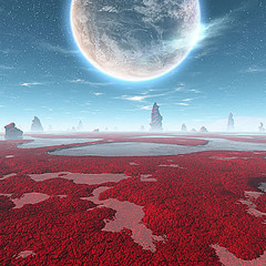 Life In Orbit