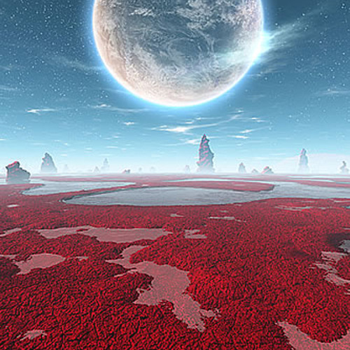 Life In Orbit