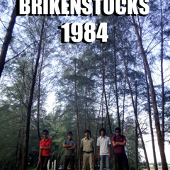 Save Palestine by Brikenstock 1984