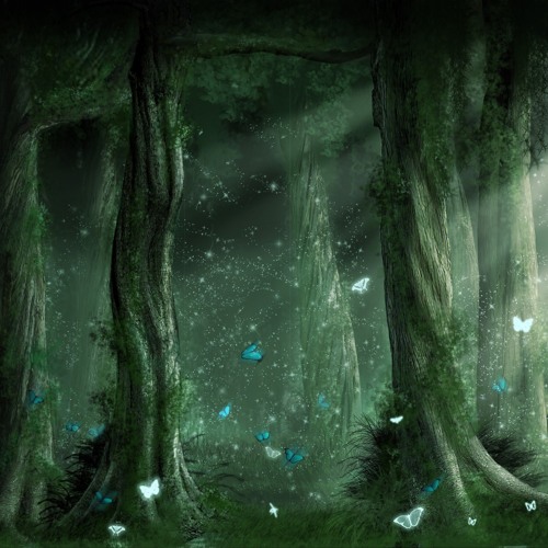 The Untouched Woods