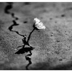 Vitor - Karma Police (Radiohead Cover)