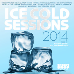 Stevie B feat. Pitbull - Spring Love_Luca Guerrieri & Laurie Goldstein Remix
