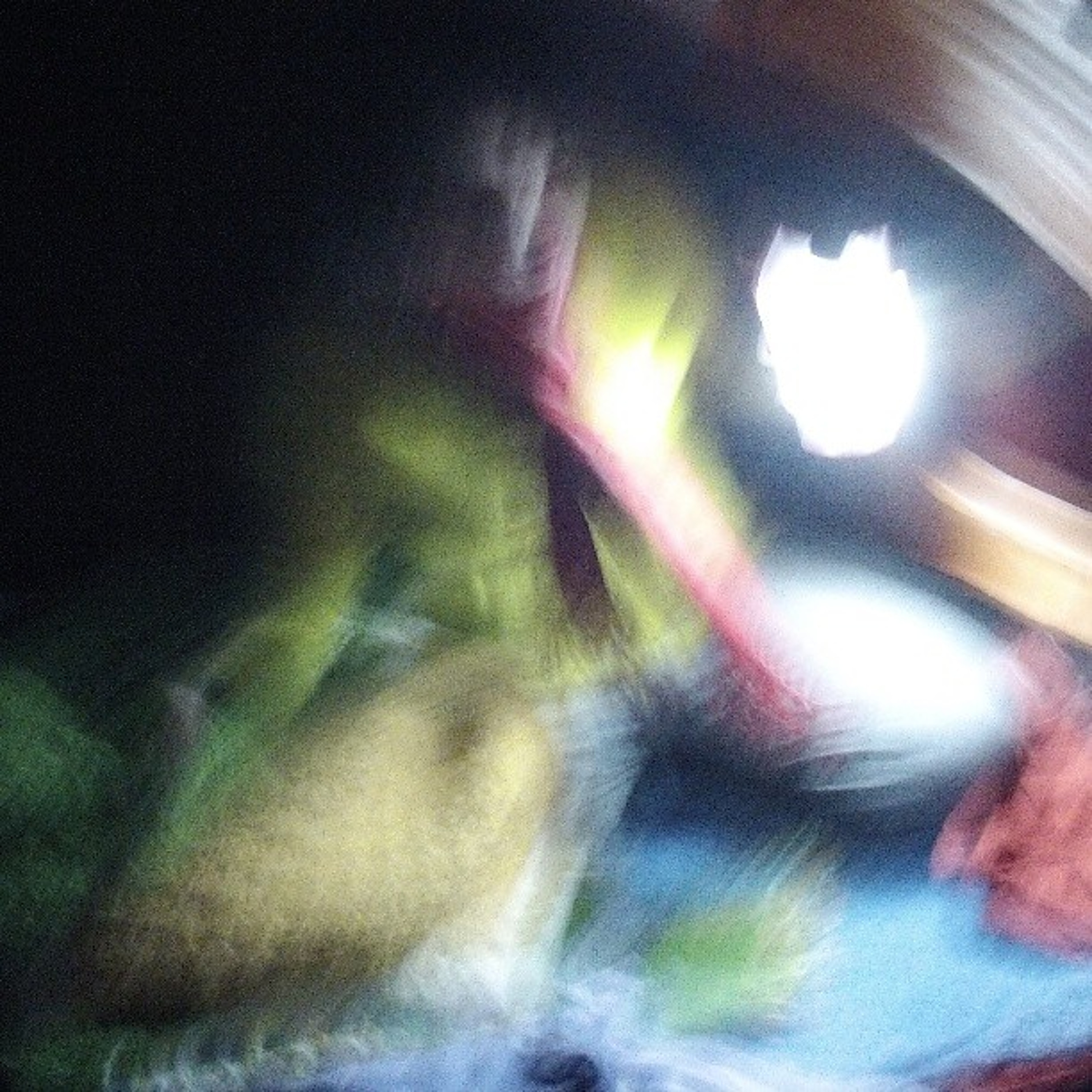 Green Light episode artwork